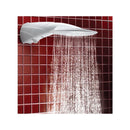 Ducha Advanced Multitemperatura 6400W